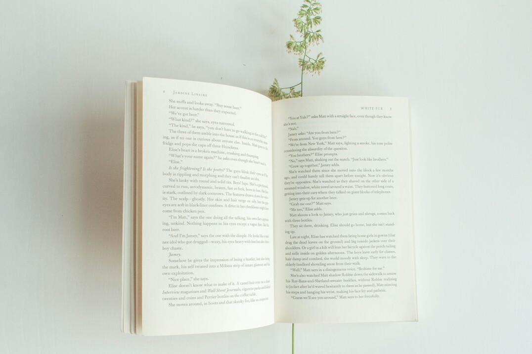 twist ending book